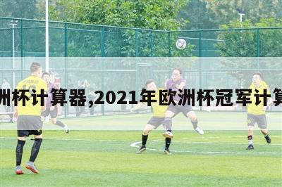 欧洲杯计算器,2021年欧洲杯冠军计算器